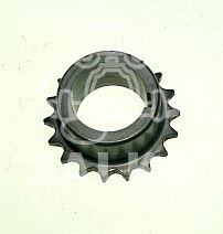 PIÑON