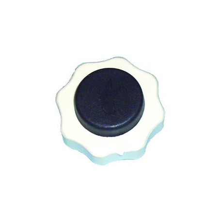 TAPON RADIADOR
