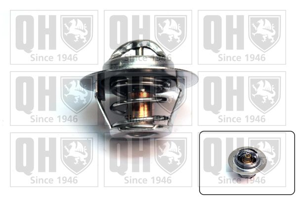 TERMOSTATO REN CLI,DUS,KAN,LOD,MEG,ORO,SAN 1.6 16V(K4M) 50MM 89°