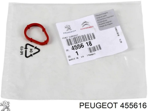 JUNTA BOMBA VACIO CIT-PEU C3 / 206,307 1.4HDI OVAL