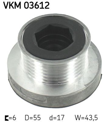 POLEA alt REN cli kan flue meg log sym cse sym lag 1.6 16V (K4M)***