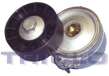 TENSOR ALT CIT-PEU XSA,PIC / 206,307 2.0HDI DW10 70MM