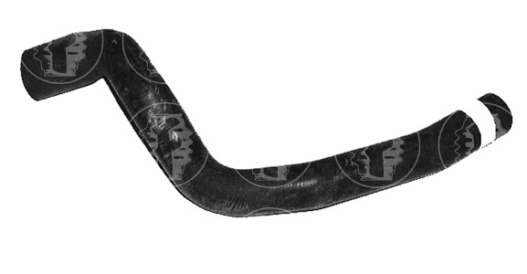 CAÑO MOPTOR