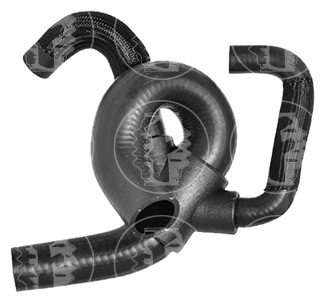 CAÑO MOTOR