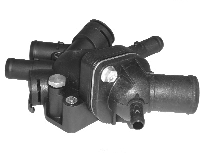 PIPA TERMOSTATO 