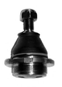 ROTULA SUSP
