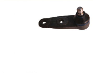 ROTULA