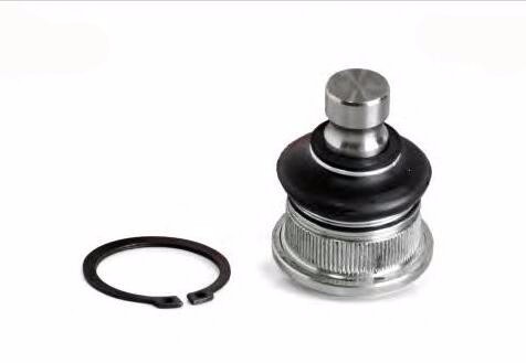 ROTULA SUSPENSION