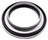 GRAPODINA SUSPENSION