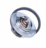 TERMOSTATO CIT-PEU-REN AX,BER,SAXO / 106,205,306 / 19,CLI,MEG 88° 54MM