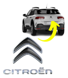 INSIGNIA PORTON TRA CIT C4 CACTUS